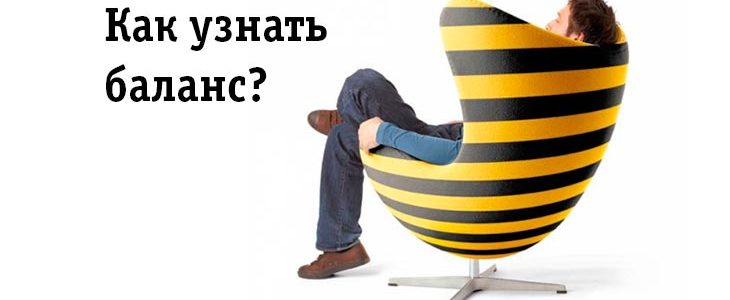 Как узнать баланс Билайна?