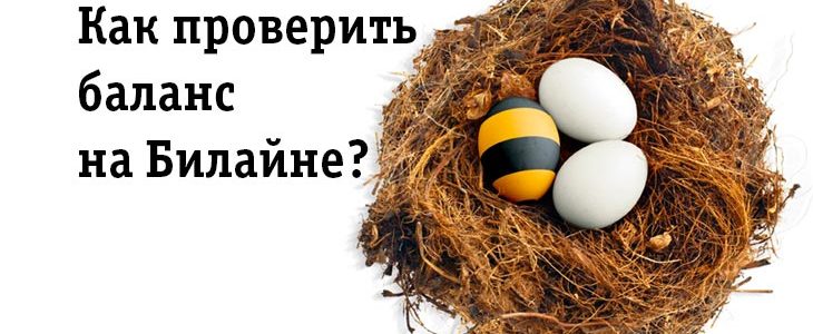 Как проверить баланс на Билайне?