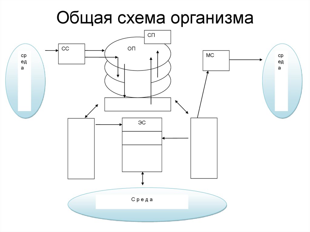 Общая схема. Общие схемы схема. Общая система наук схема. Совместно схема.