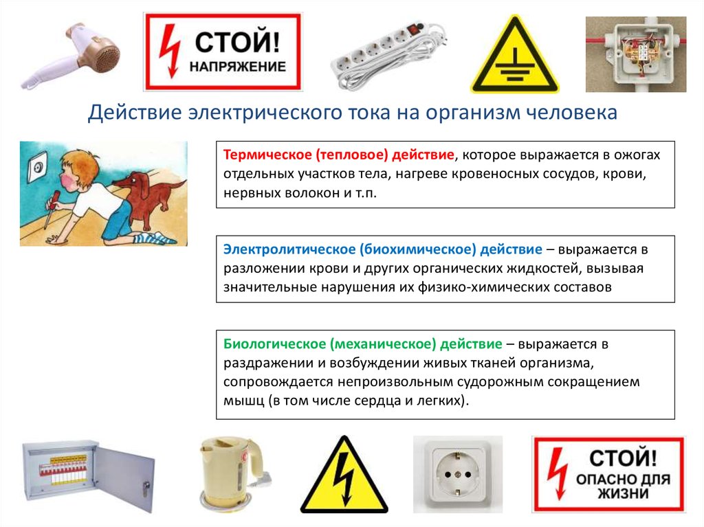 Воздействие электрического тока на человека. Электробезопасность инструктаж. Электрический ток и организм человека. Воздействие электрического тока на организм человека. Задачи электробезопасности.