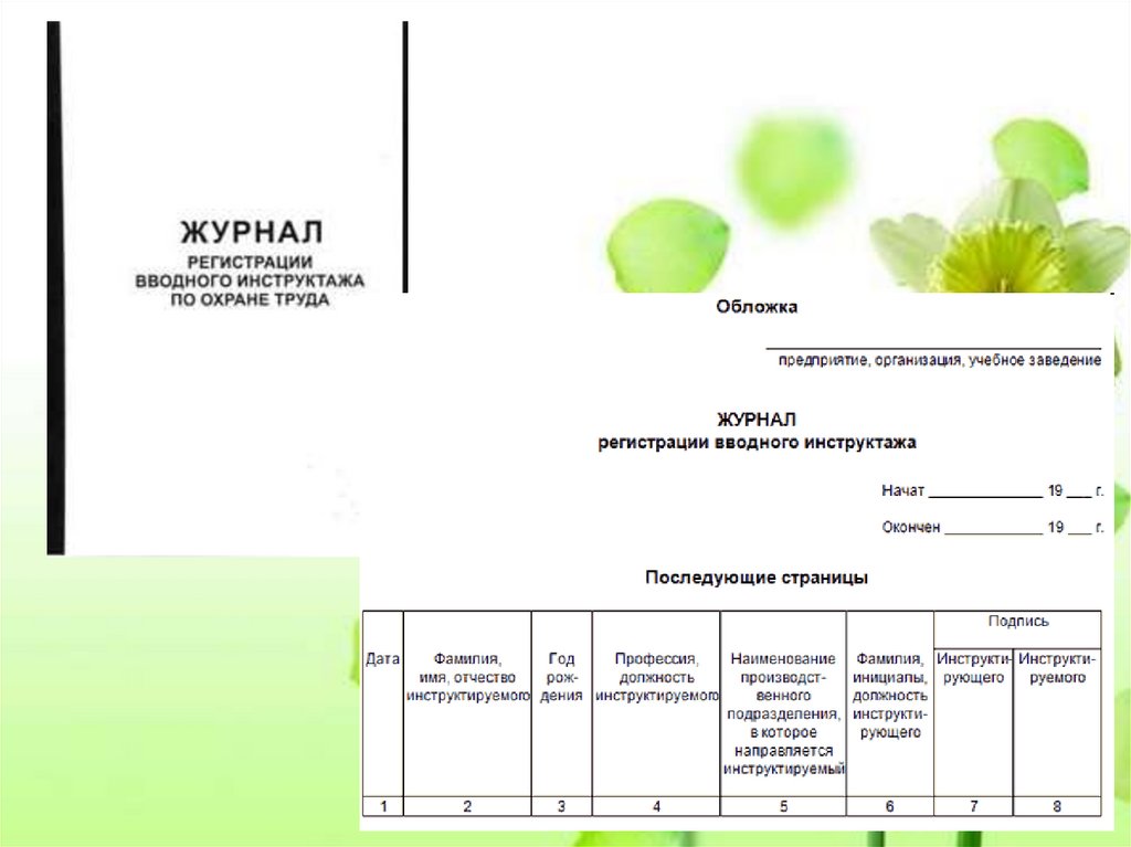 Виды инструктажей по охране труда проводится. Вводный инструктаж порядок проведения и оформления. Периодичность вводного инструктажа. Сроки проведения вводного инструктажа. Дата проведения вводного инструктажа.