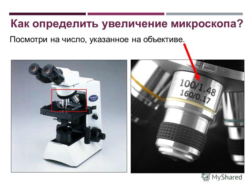 Какое увеличение дает данный микроскоп как узнать. Цифровой микроскоп 60 окуляр. Увеличение микроскопа окуляр 10 объектив 60. Окуляр микроскопа 10х 23мм. Увеличение цифровым микроскопом на 200.