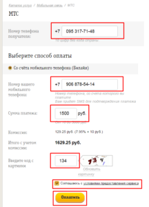 Форма для оплаты перевода на Билайне