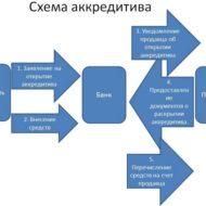 Кредитная карта Сбербанка на 50 дней: условия, отзывы людей