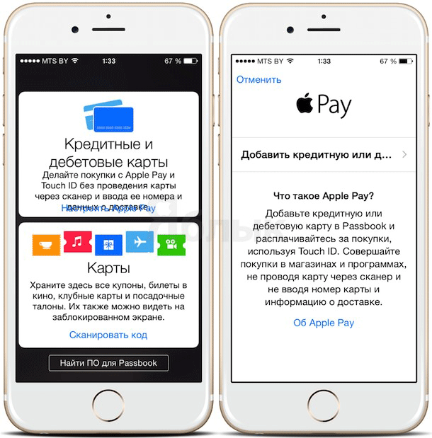 Настройка Apple Pay