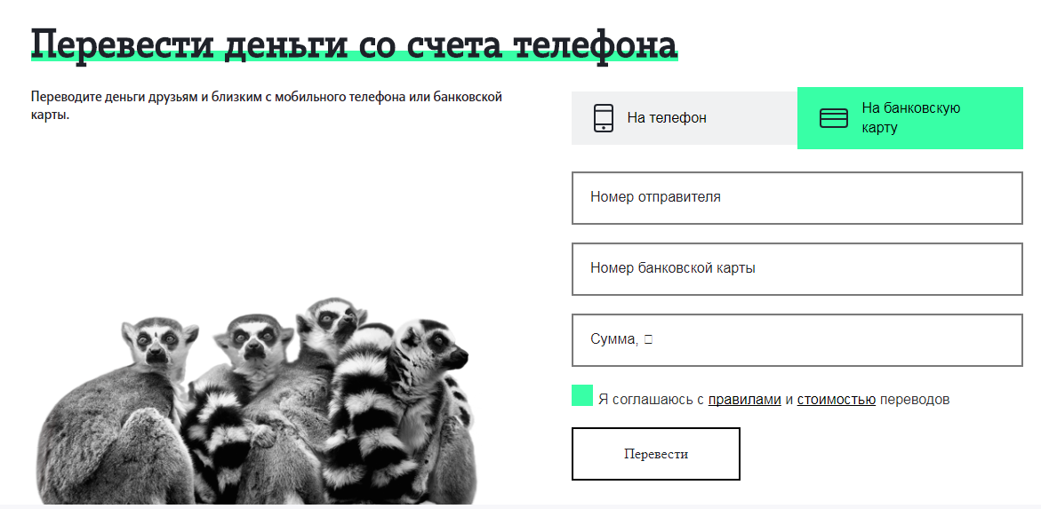 Как перевести деньги с телефона на карту: Билайн, МТС, Мегафон, Tele2