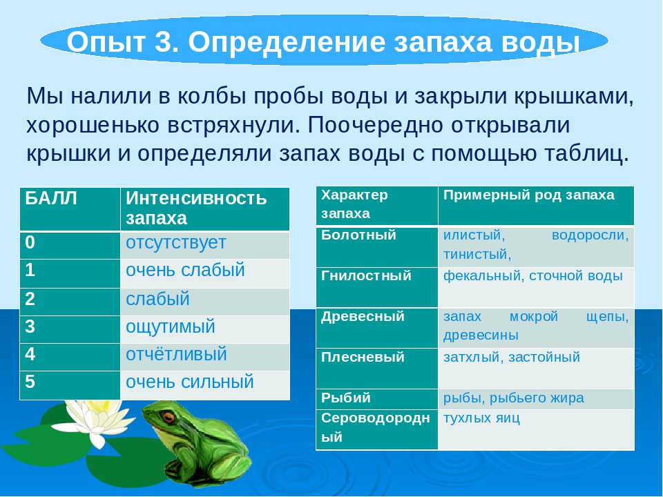 Чем пахнет вода. Оценка запаха воды. Определение запаха воды. Исследование запаха воды. Алгоритм определения запаха питьевой воды.