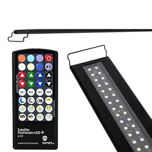 Best LED Lights for Planted Tank