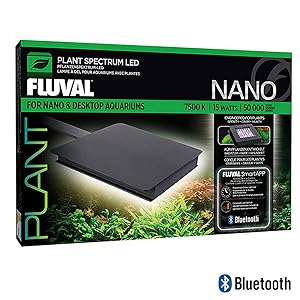 Best LED Lights for Planted Tank