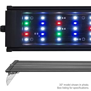 Best LED Lights for Planted Tank