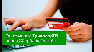 Как оплатить Триколор ТВ через Сбербанк Онлайн