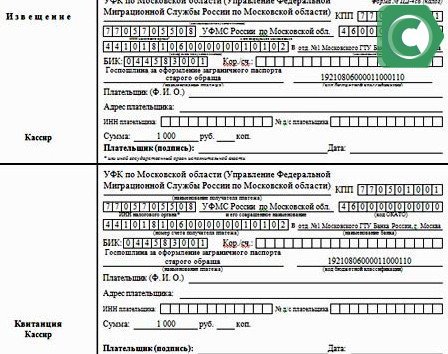 Оплатить госпошлину можно по реквизитам, указанным в квитанции