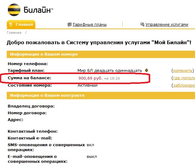 Как узнать <b>баланс</b> в <em>билайне</em> через интернет