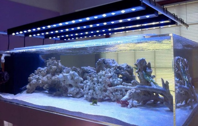 Освещение аквариума светодиодными лентами