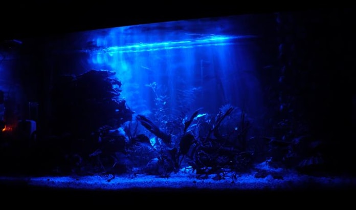 Синяя подсветка аквариума