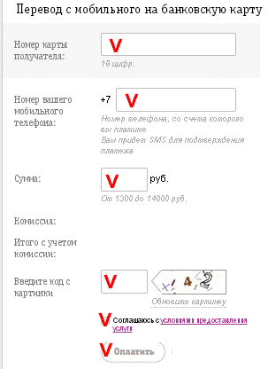 форма на сайте билайн