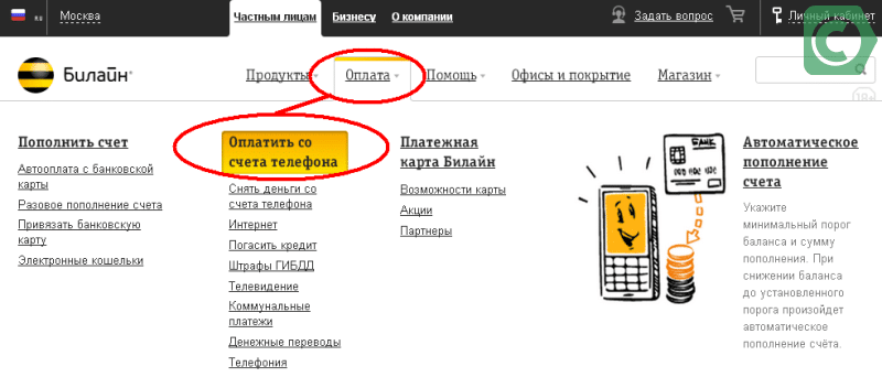 страница отправки на сайте билайн